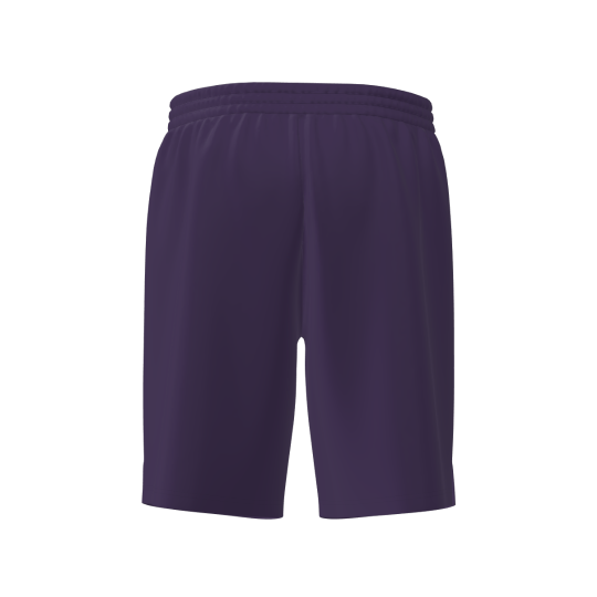 Шорты мужские 7/6 Miran Shorts 9 - Crown Jewel 2