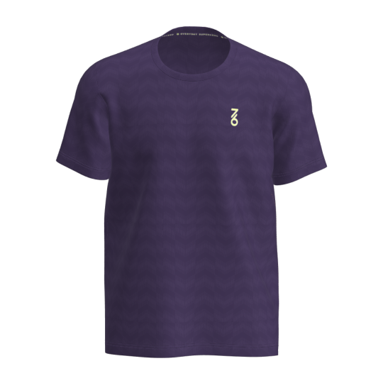 Футболка мужская 7/6 Loddy T-Shirt 2.0 - Crown Jewel 1