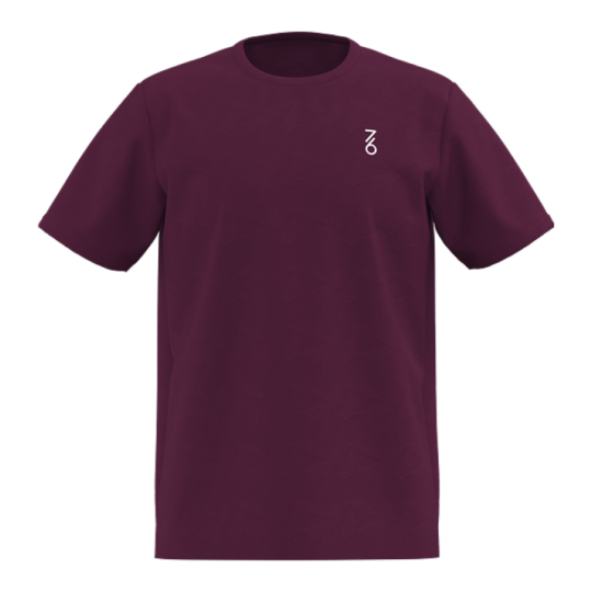 Футболка мужская 7/6 Loddy T-Shirt 2.0 - Potent Purple
