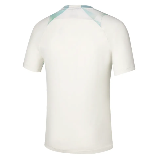 Футболка мужская Mizuno Frontier Shadow Tee - White 2