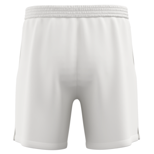 Шорты мужские 7/6 Miran Shorts 7 - Antarctica 2