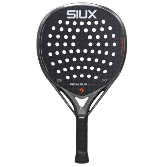 Ракетка для падела Siux Pegasus Pro 2026 Storm Grey 1
