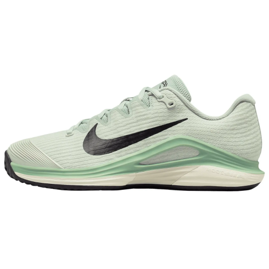 Кроссовки женские Nike Court Air Zoom Vapor 12 Clay - Light Silver/Black/Steam 1